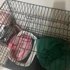 قفص للبيع حق قطط واي شي