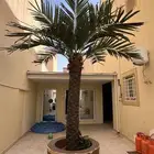 نخلة صناعيه زينه