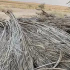 جريد نخل بكميات كبيرة