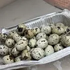 بيض سمان تكساس