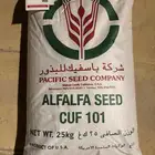 بذور برسيم أمريكي كاف 101