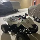 دباب