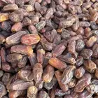 تمر صفري فلة ناشف رقم 2 حوطة بني تميم