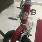 دراجه وينتد للبيع ب 250