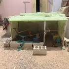 شبوك مستخدمه للدجاج