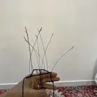 شبك حمام على 35ريال