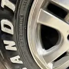 جنوط الحميد