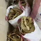 خبز غنم