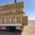 تبن بر صافي