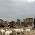 ضان دفع