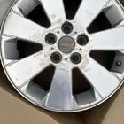 جنوط كابرس بيتزا