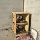 اقفاص حمام