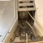 الرياض