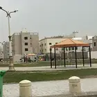 مطلوب روف للإيجار