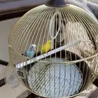 القفص من غير الطيور للبيع القفص فقط للبيع