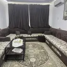 كنب مع سجادة مع ستارة