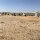 أحواش حلال