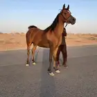 مهره واهو