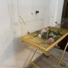 عربية شبكة