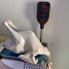 ديوك رومي يوجد ذبح