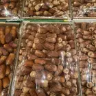 صقعي فاخر للبيع