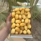 إخلاص الخرج شي فااخر
