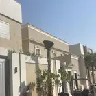 نخيلواشنطونيا للبيع بجميع انواع المقاسات