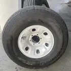 جنوط شاص فتك