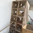 شبك حمام للبيع