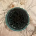 حق الاستشوار