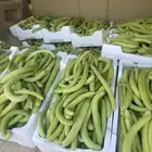 خضار