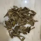 عود كلمنتان طبيعي سوبر مرتفع عرض اليوم الوطني