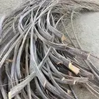 جريد للبيع تقريبا  حملة ديانه