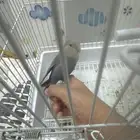 روز أليف فيشر جميل يجي معه أكله