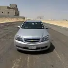 كابرس مخبط 2015