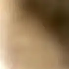 الي عنده طير بلبل ما يبيه يكلمني تبني
