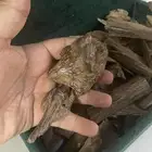 كلمنتان طبيعي محسن كسر راهيه