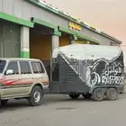 عربة خيل راسيين. داخل تبوك والمناطق المجاوره