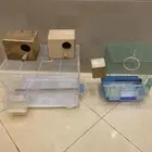 اقفاص ببغاوات للبيع