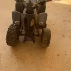 دباب شغال 80 سيسي