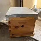خلاياء نحل غير مستخدم