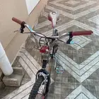 سيكل كوبرا نضيف