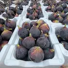 تين اسباني اسود سكاكا