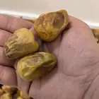 تمور القصيم فاخره