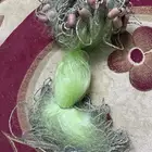 موجه 3 طبقات