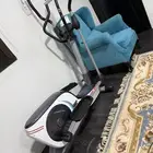 الغزال الطائر