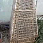 شبك اشجار