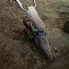 جزازه برسيم