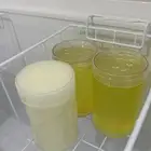 سمن معزاء على الشرط