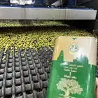 عصرة الموسم زيت جديد